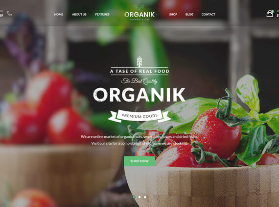 1-ORGANIK-STORE