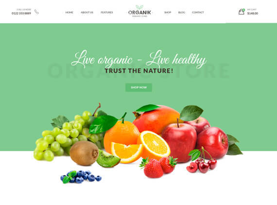 2-ORGANIK-SHOP